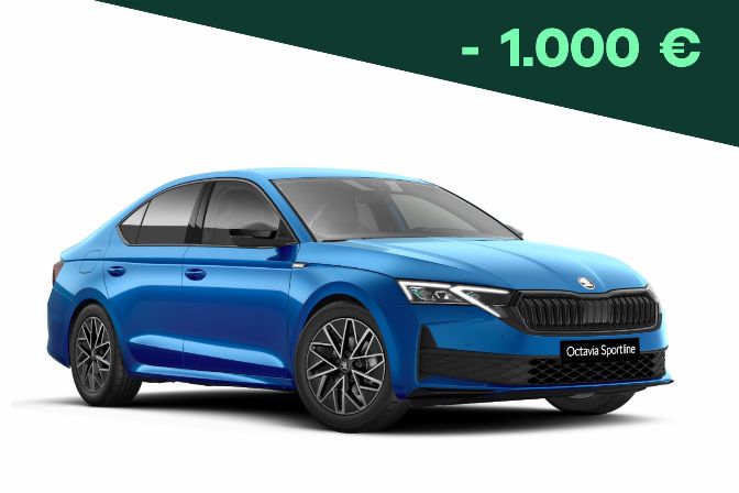 octavia%20-1000%20EURO