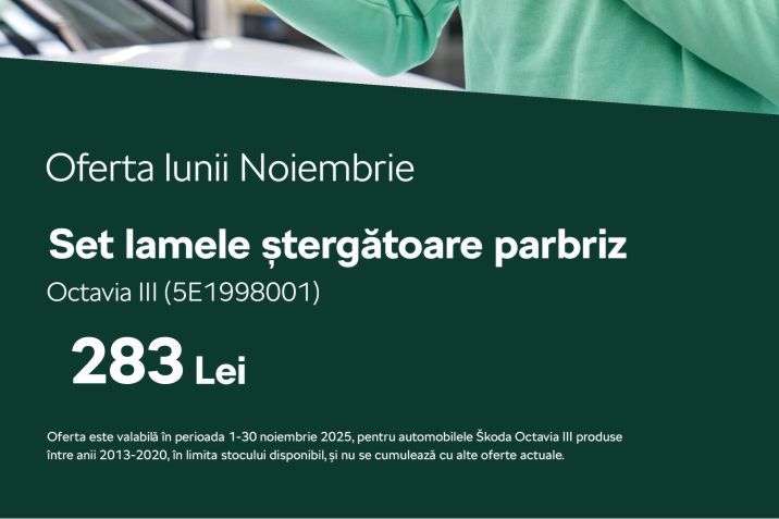 lamele%20stergator%20octavia%20III