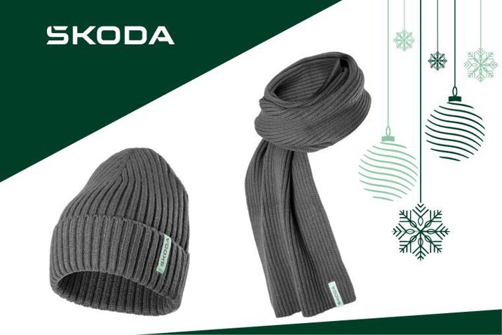 oferta lunii decembrie Skoda