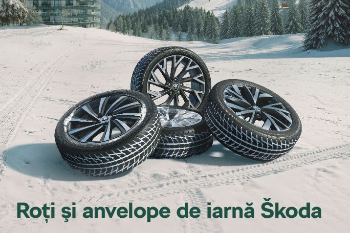 roti iarna skoda