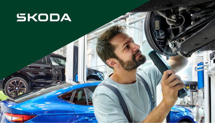 schimb placute frana cu 30% reducere skoda