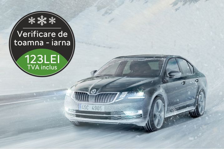 verificare de toamna iarna a masinii la elcargid buzau